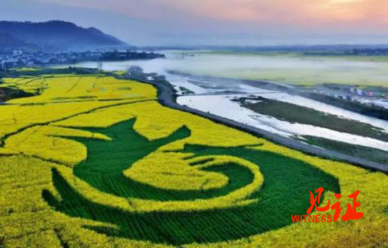 秀山县：第六届龙凤花海文化旅游节将于3月24日开幕